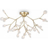 Потолочная люстра FREYA FLORENCIA FR5049CL-36G